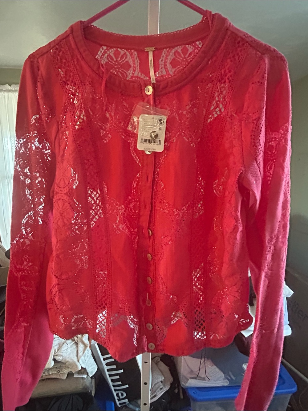 Free People Jae Long sleeve Lace Button Up Top in Crushed Berry